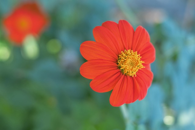 队动作不同 队动作不同