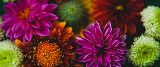 从而有效地 从而有效地